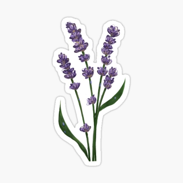 Item preview, lavender illustration designed and sold by karllon.