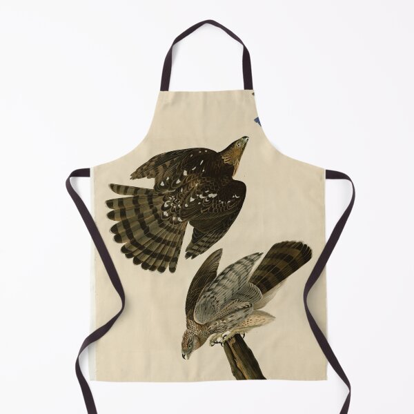Item preview, 36 Stanley Hawk designed and sold by Bird-Lore.