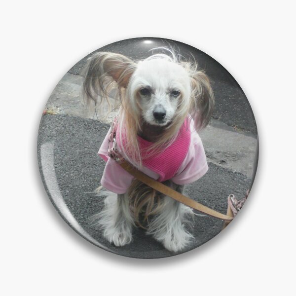 Item preview, Pleeeease, take me home?? designed and sold by Roz McQuillan Fine Art & Photography.