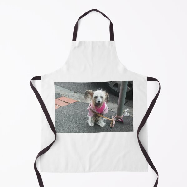 Item preview, Pleeeease, take me home?? designed and sold by Roz McQuillan Fine Art & Photography.