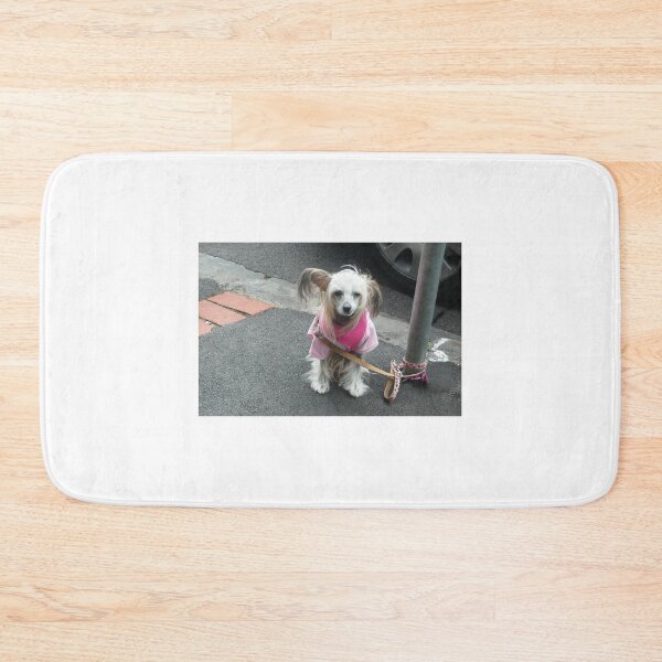 Item preview, Pleeeease, take me home?? designed and sold by Roz McQuillan Fine Art & Photography.