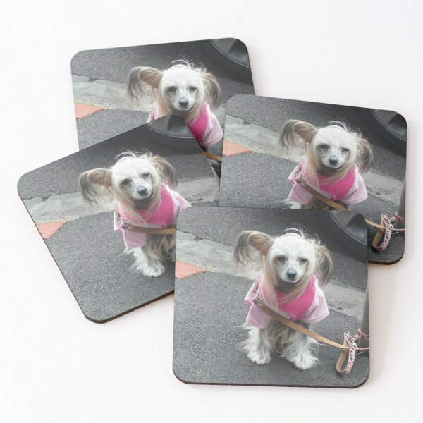 Item preview, Pleeeease, take me home?? designed and sold by Roz McQuillan Fine Art & Photography.