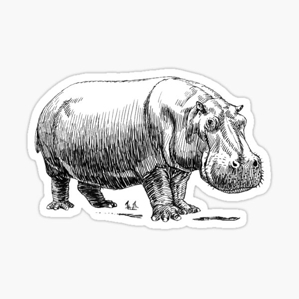 Aperçu de l'œuvre Hippopotame créée et vendue par Amanda1775.