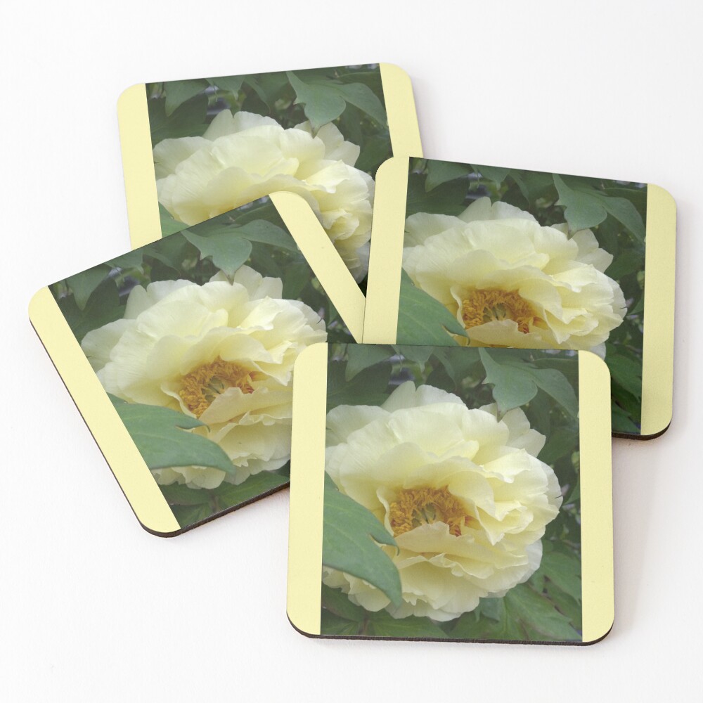 Item preview, Coasters (Set of 4) designed and sold by Matlgirl.