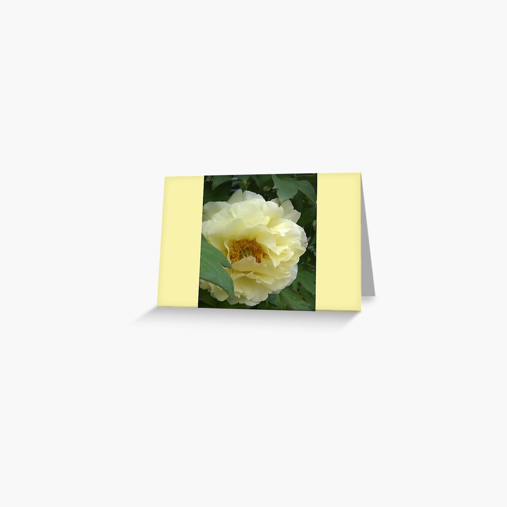 Item preview, Greeting Card designed and sold by Matlgirl.