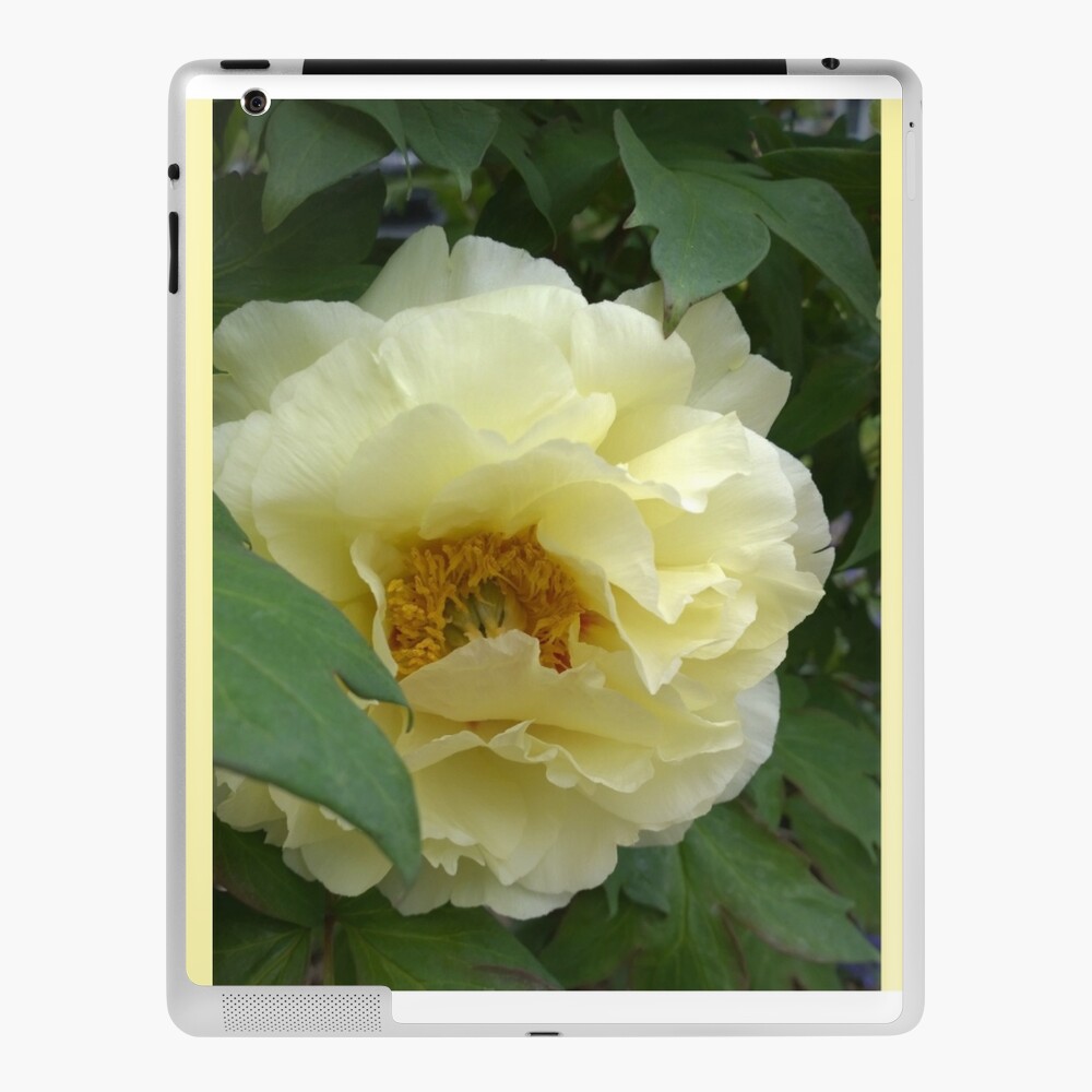 Item preview, iPad Skin designed and sold by Matlgirl.