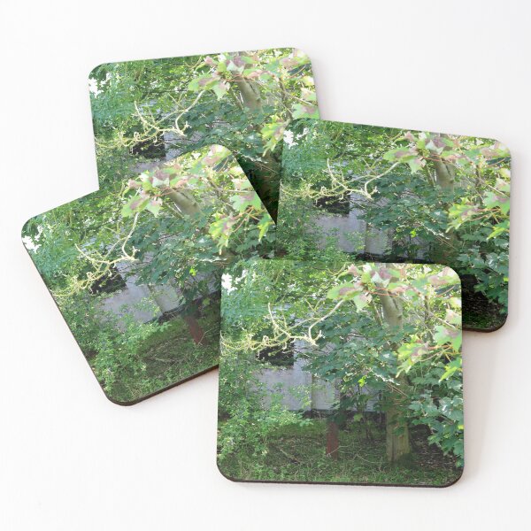 Item preview, Urban Takeback - Nature Returns - RAF Nocton Hall Hospital, Lincoln, Lincolnshire, England  [201] designed and sold by BeautonFashions.