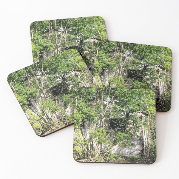 Item preview, Urban Takeback - Nature Returns - RAF Nocton Hall Hospital, Lincoln, Lincolnshire, England  [216] designed and sold by BeautonFashions.