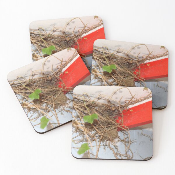 Item preview, Urban Takeback - Nature Returns - RAF Nocton Hall Hospital, Lincoln, Lincolnshire, England  [223] designed and sold by BeautonFashions.