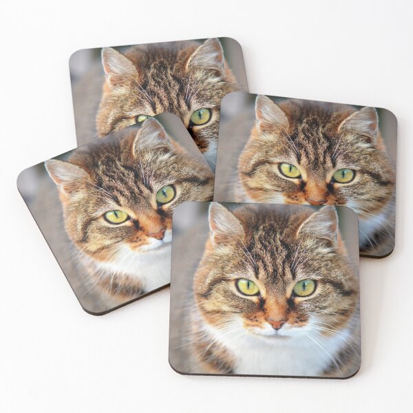 Item preview, Hunting Cat designed and sold by sasijaya.