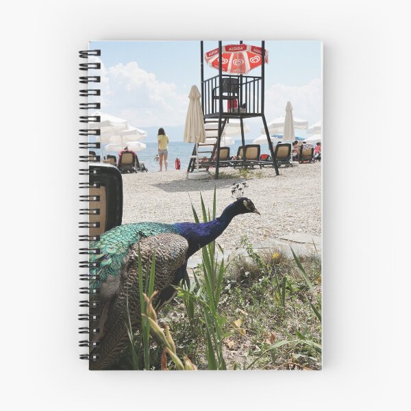 Item preview, random beach visitor designed and sold by distracted.