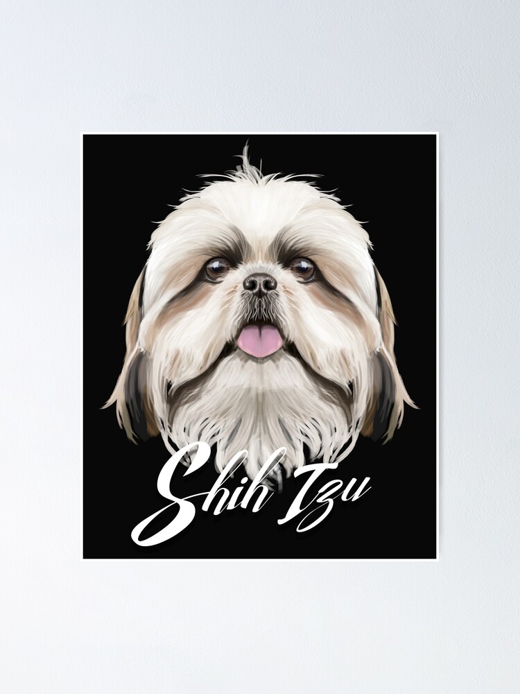 shih tzu presents
