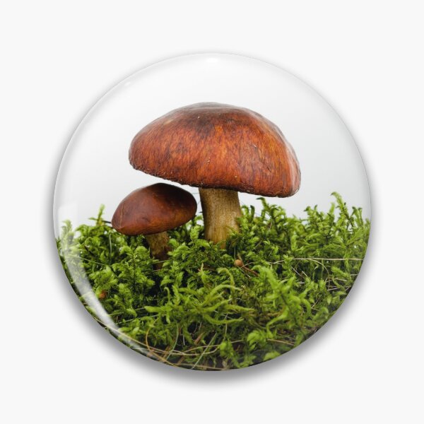 Item preview, boletus mushroom  designed and sold by Claraveritas.