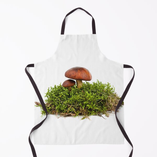 Item preview, boletus mushroom designed and sold by Claraveritas.