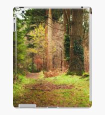 Ireland - Nature - Ravensdale iPad Case/Skin