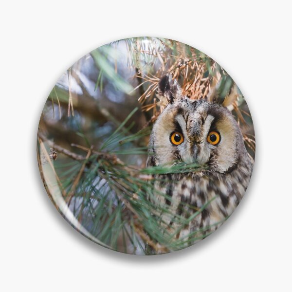 Item preview, Long eared owl designed and sold by Claraveritas.