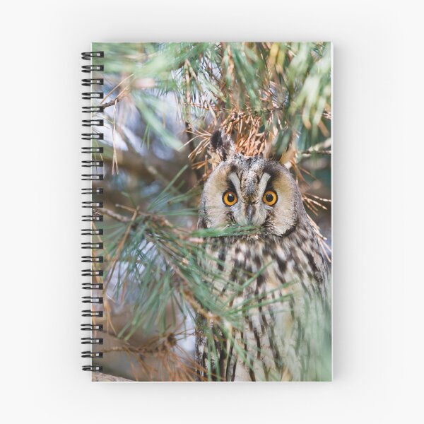 Item preview, Long eared owl designed and sold by Claraveritas.