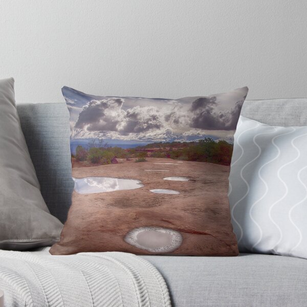 Item preview, The Potholes - Canyonlands National Park designed and sold by Kathy Weaver.