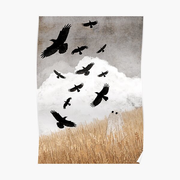 Walter and The Crows Poster