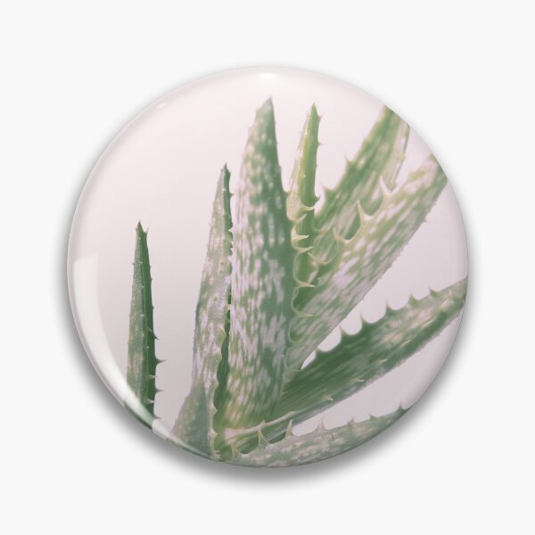 Aperçu de l'œuvre # 02 # cactus # plante # succulente créée et vendue par ESCAPZ.