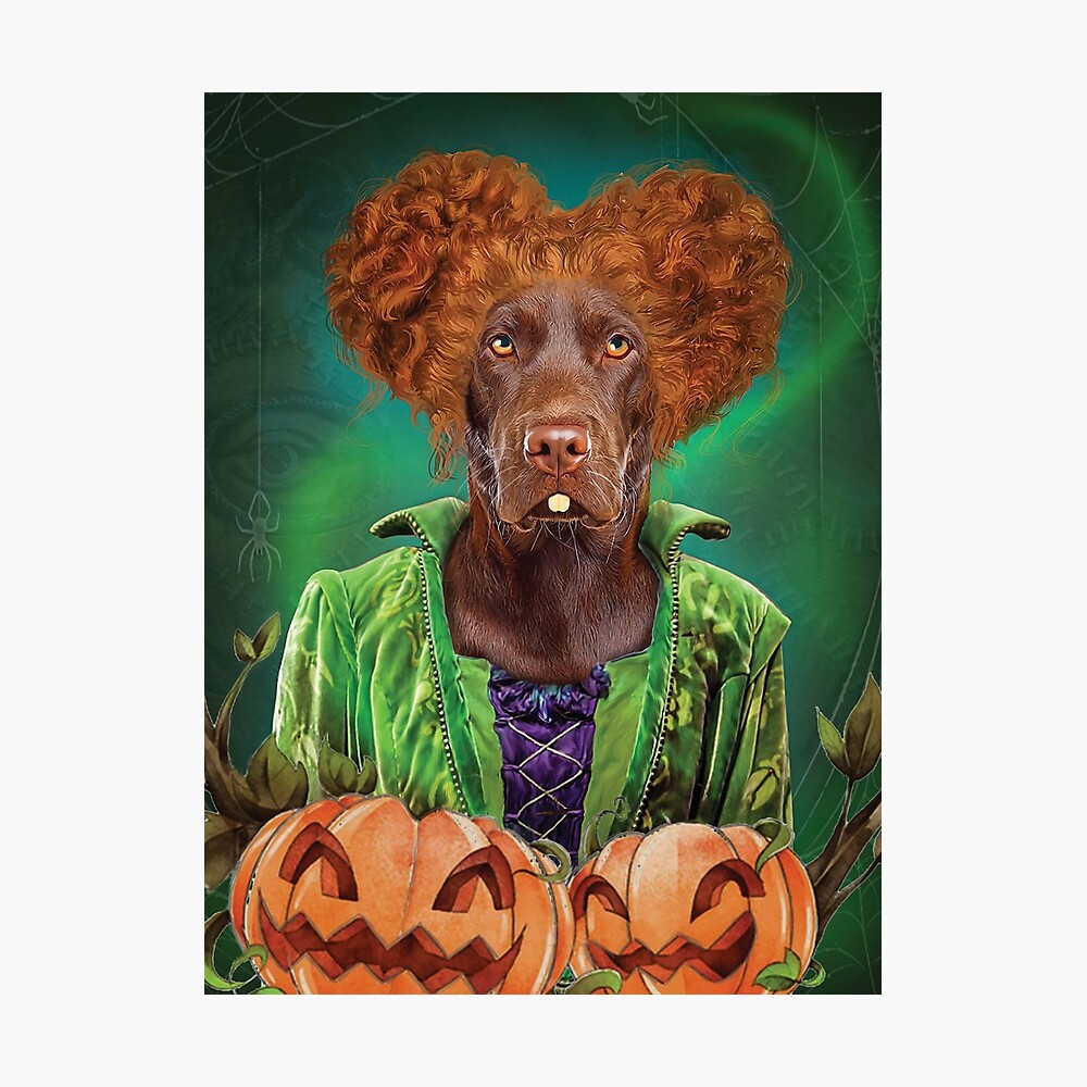 These 3 dogs dressed as the witches from 'Hocus Pocus' will make you so  happy