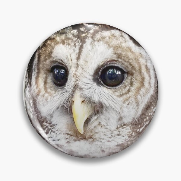 Item preview, Owl Head designed and sold by Dead-Moroz.
