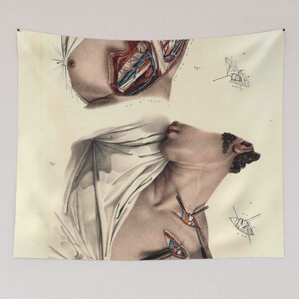 Item preview, Medical  designed and sold by Donkey's Salad.