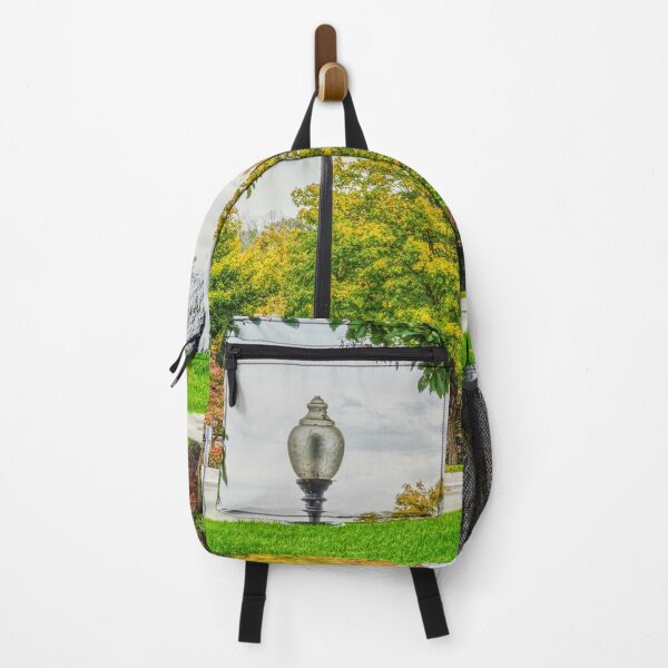 Item preview, MO Capitol Autumn Grounds designed and sold by mljdwhite.