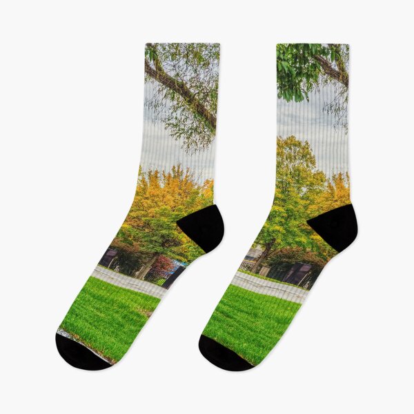 Item preview, MO Capitol Autumn Grounds designed and sold by mljdwhite.