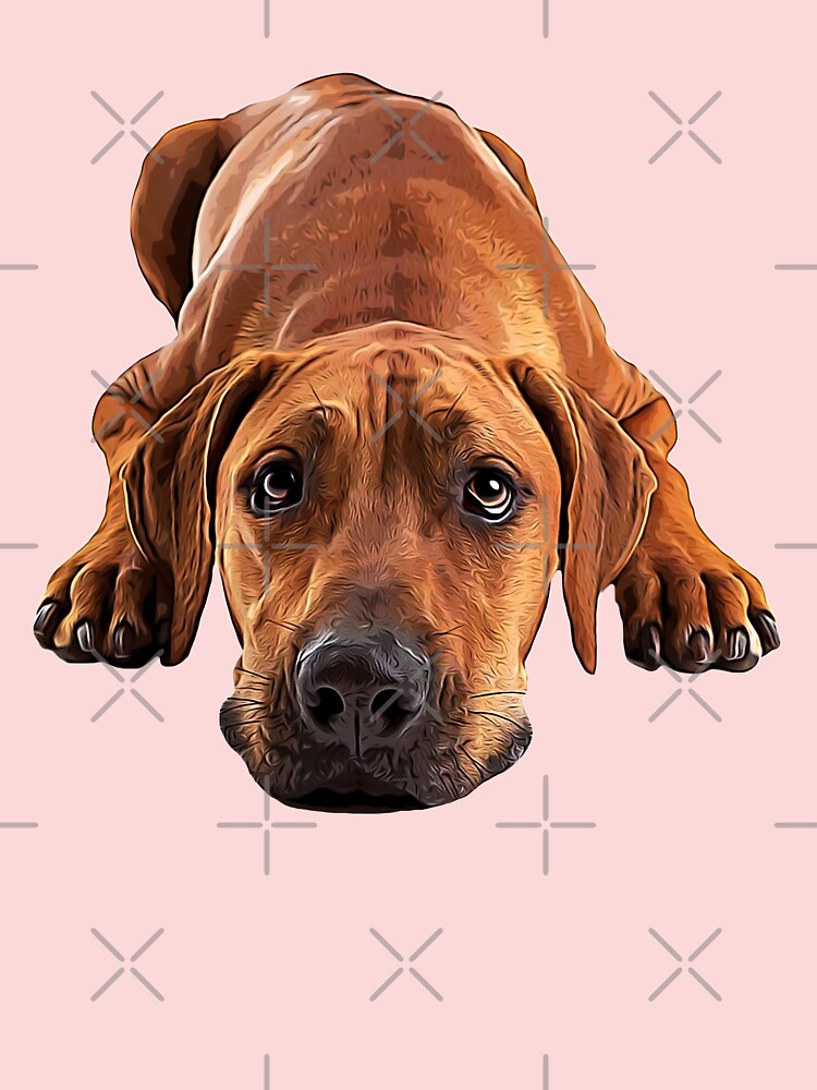 Baby ridgeback hot sale