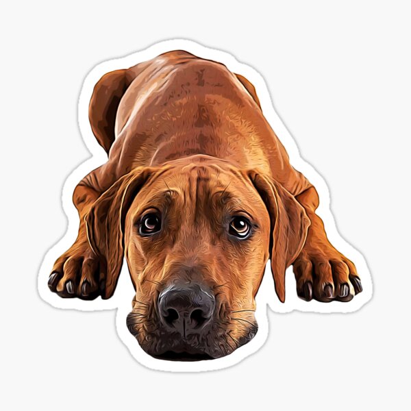 ridgeback gifts