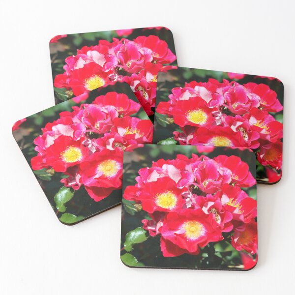 Item preview, Camellia Sasanqua designed and sold by Cynthia48.