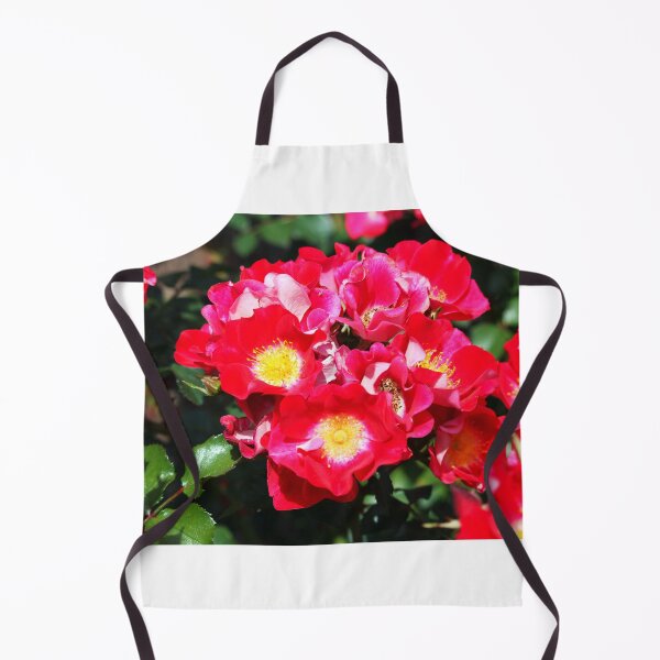 Item preview, Camellia Sasanqua designed and sold by Cynthia48.