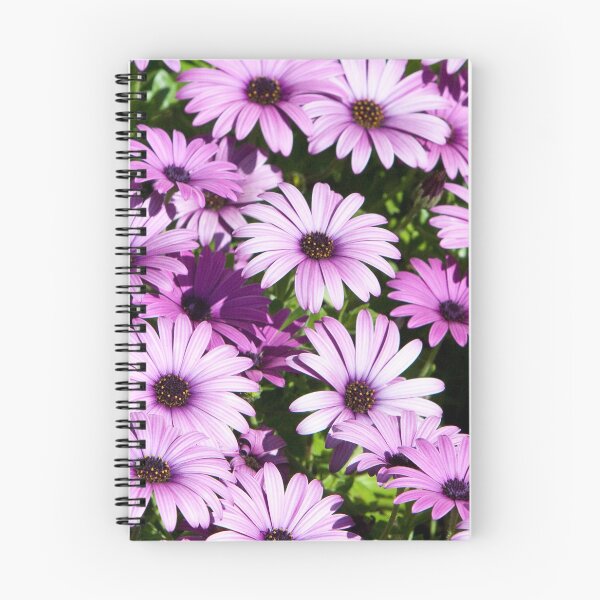 Item preview, Purple daisies designed and sold by Liza Kirwan.