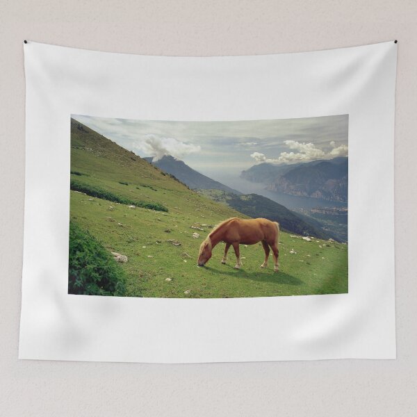 Item preview, Horse at Monte Stivo, Italy designed and sold by Lenka.