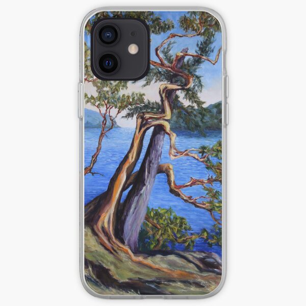 Southern Gulf Islands Afternoon iPhone Soft Case