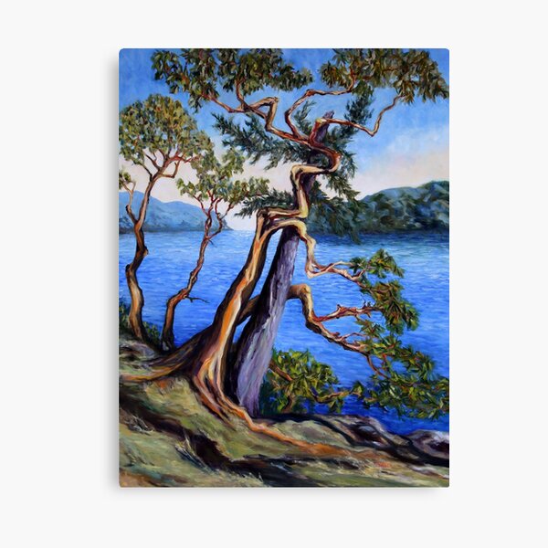 Southern Gulf Islands Afternoon Canvas Print