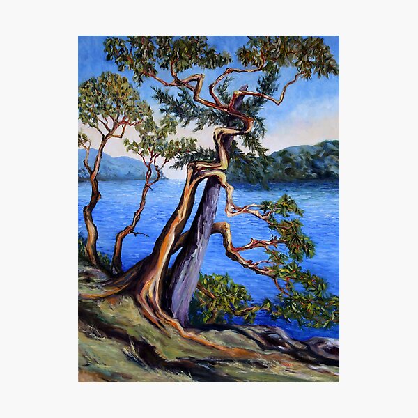 Southern Gulf Islands Afternoon Photographic Print