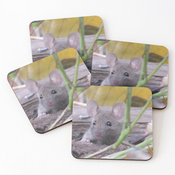 Item preview, Say Hello To My Little Friend designed and sold by Phoebetales.