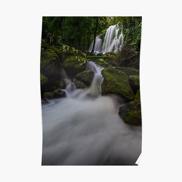 Chalahn Falls, Lamington NP Poster