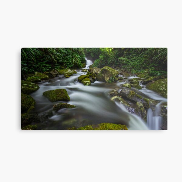 Item preview, Tooloona Circuit, Lamington NP designed and sold by McguiganVisuals.