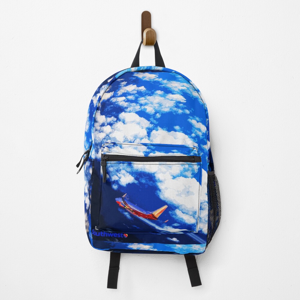 Re-entry Backpack