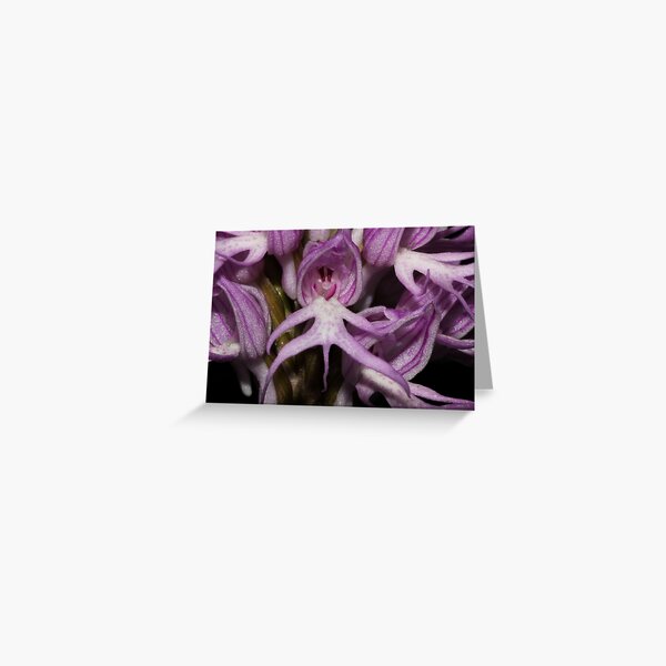 Orchis italica Greeting Card
