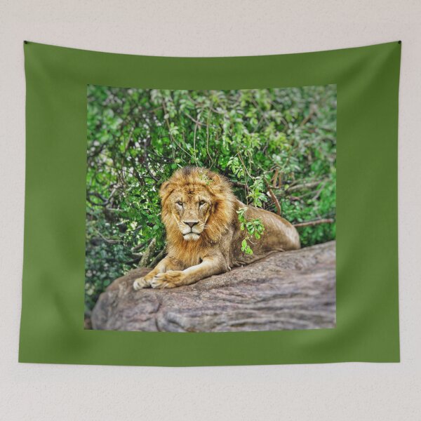 Item preview, I am King - Golden Lion designed and sold by gphotobox.