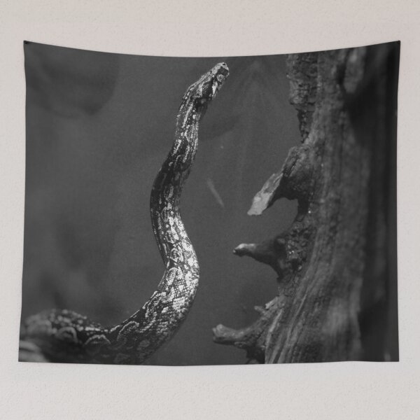 Item preview, Snake snake snake designed and sold by BeluFndz.