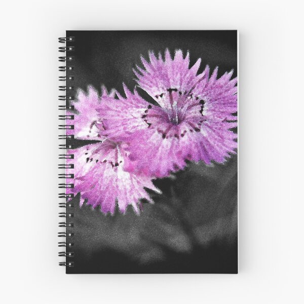 Item preview, Dianthus designed and sold by Lenka.