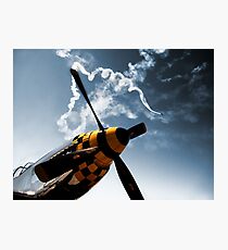 Mustang Photographic Print