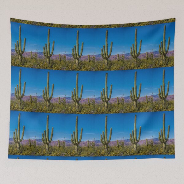 Aperçu de l'œuvre ETATS-UNIS. Arizona. Parc National de Saguaro. Saguaro Cactus. créée et vendue par vadim19.