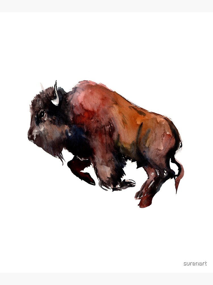 Bison by surenart