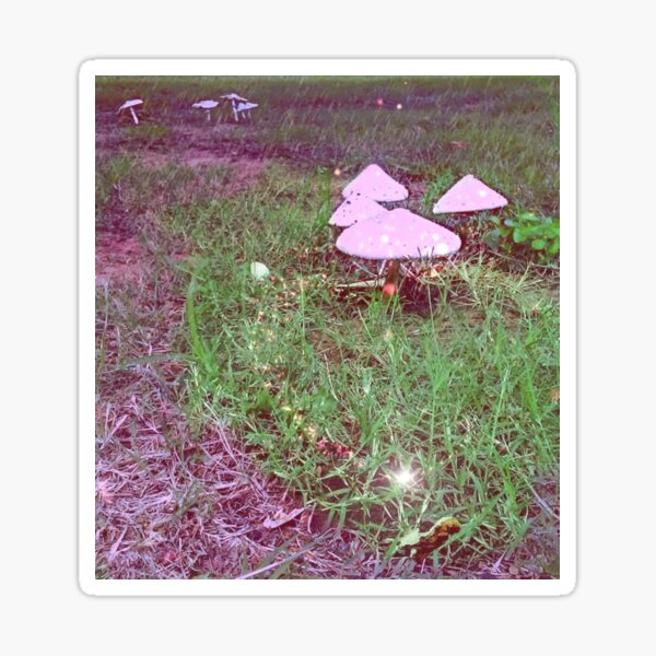 Magical Mushrooms Sticker